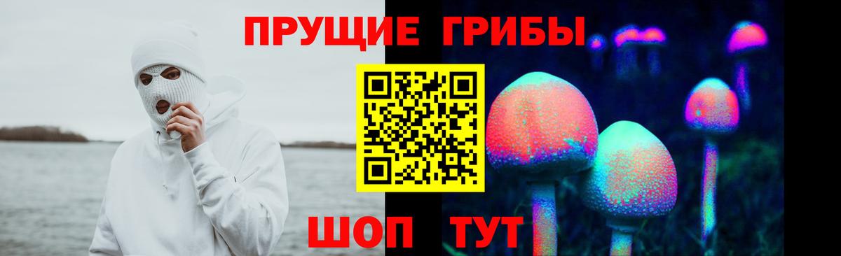 Галлюциногенные грибы мицелий Бугуруслан